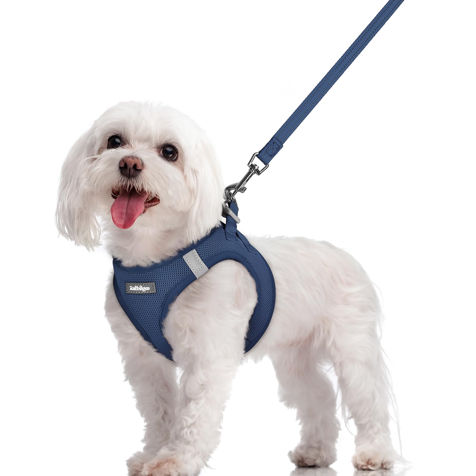 rabbitgoo gilet face avant montrant coupe ergonomique et confort