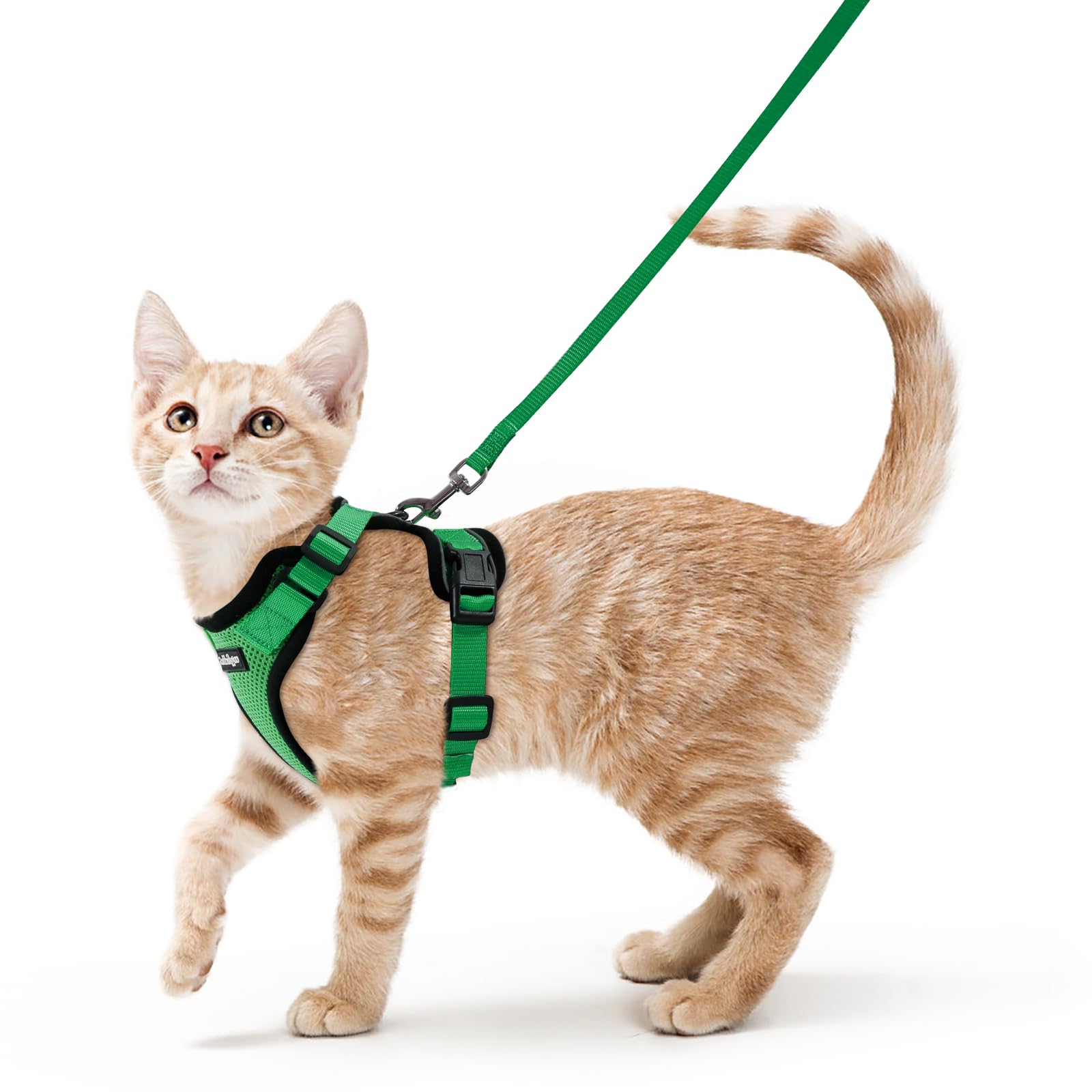 rabbitgoo gilet vert vu de face offrant maintien et confort