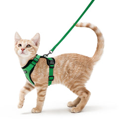 rabbitgoo gilet vert vu de face offrant maintien et confort