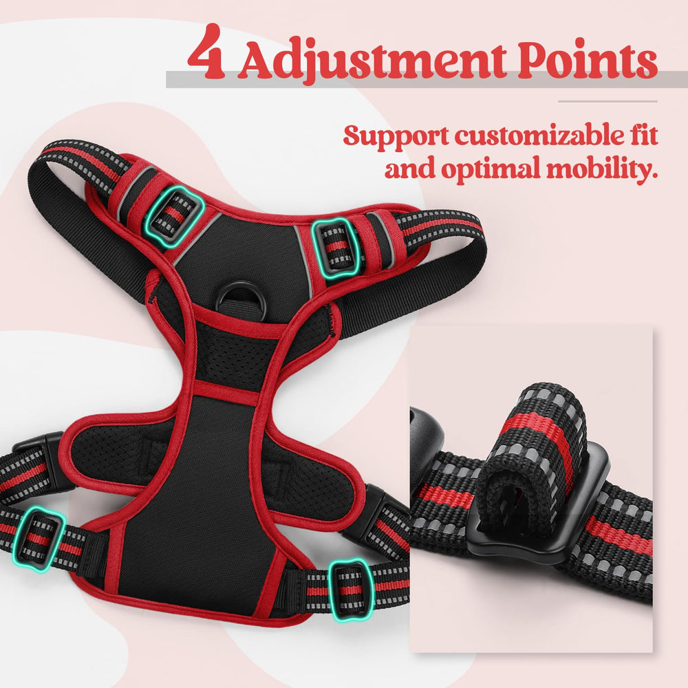 rabbitgoo anneau dorsal et boucles robustes pour promenades sûres