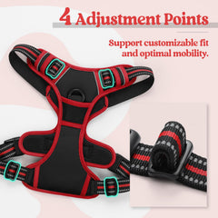rabbitgoo anneau dorsal et boucles robustes pour promenades sûres