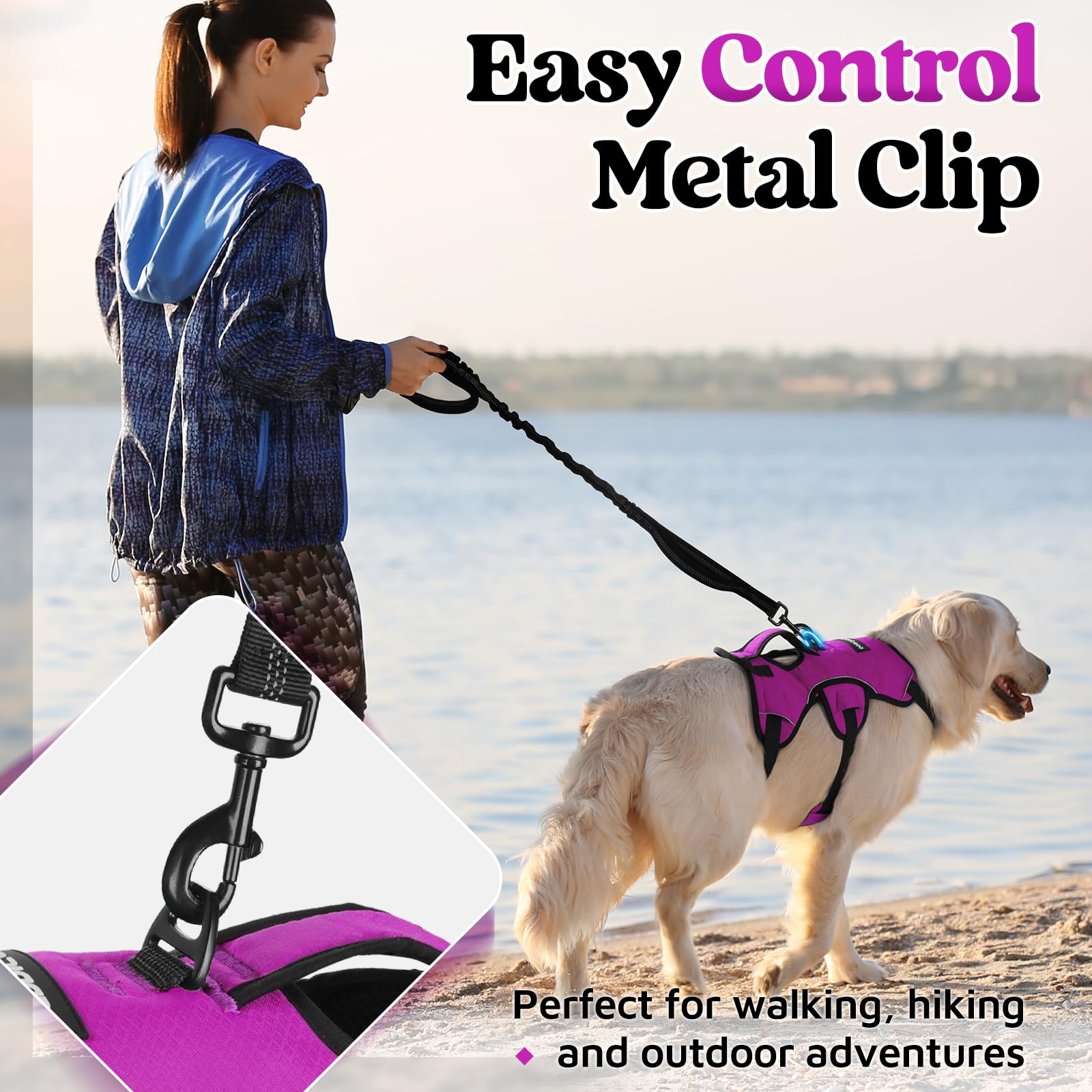 rabbitgoo anneau dorsal métal scellé avec laisse attachée, contrôle fiable