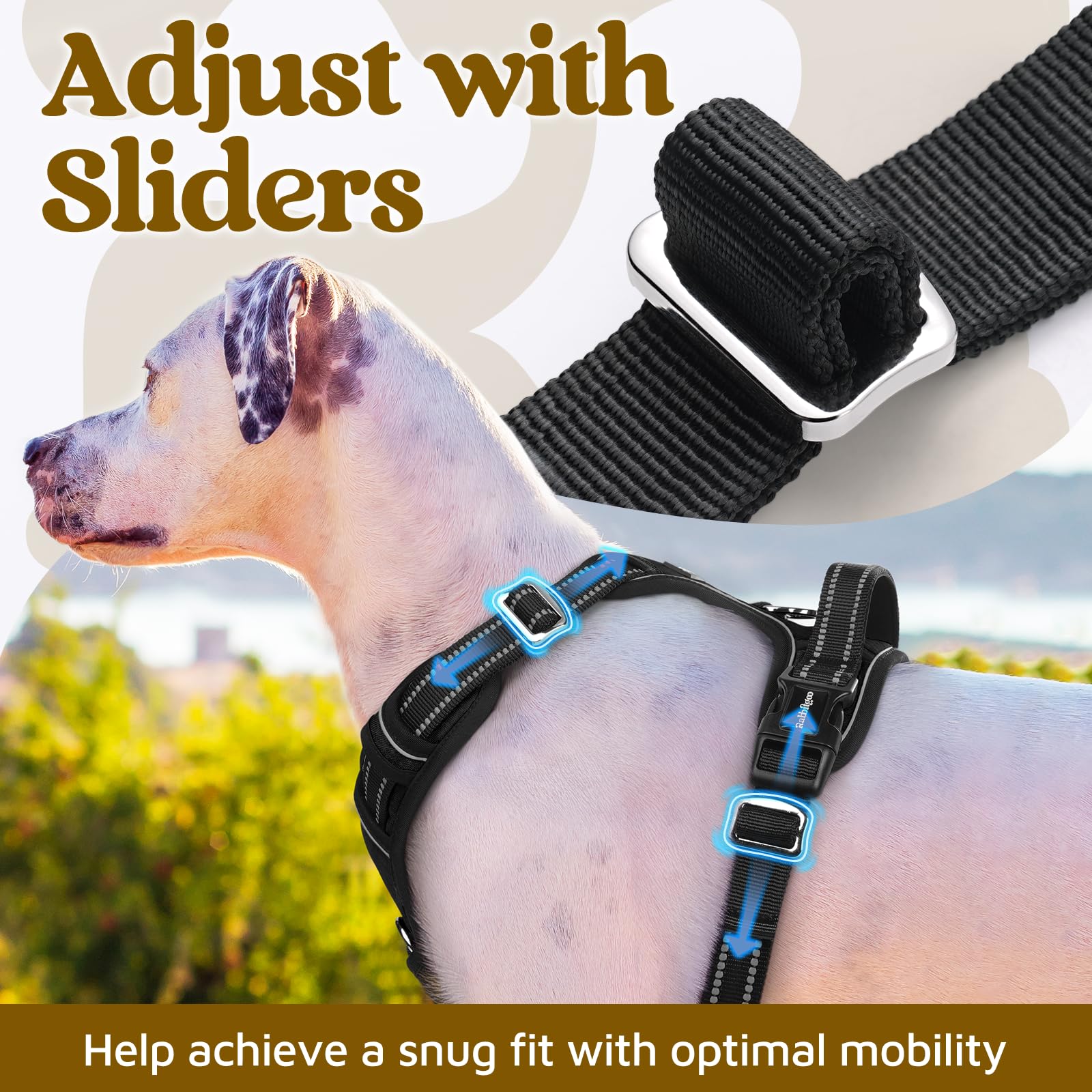 rabbitgoo harnais anneau frontal réduisant traction pour promenades plus calmes