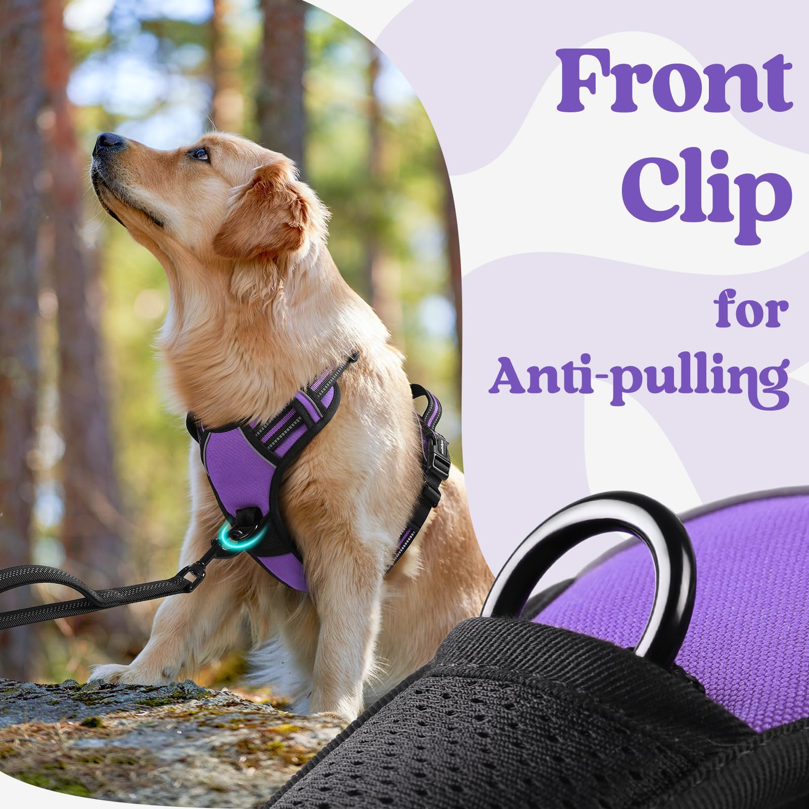 rabbitgoo bandes réfléchissantes sous éclairage, augmente visibilité et sécurité nocturne