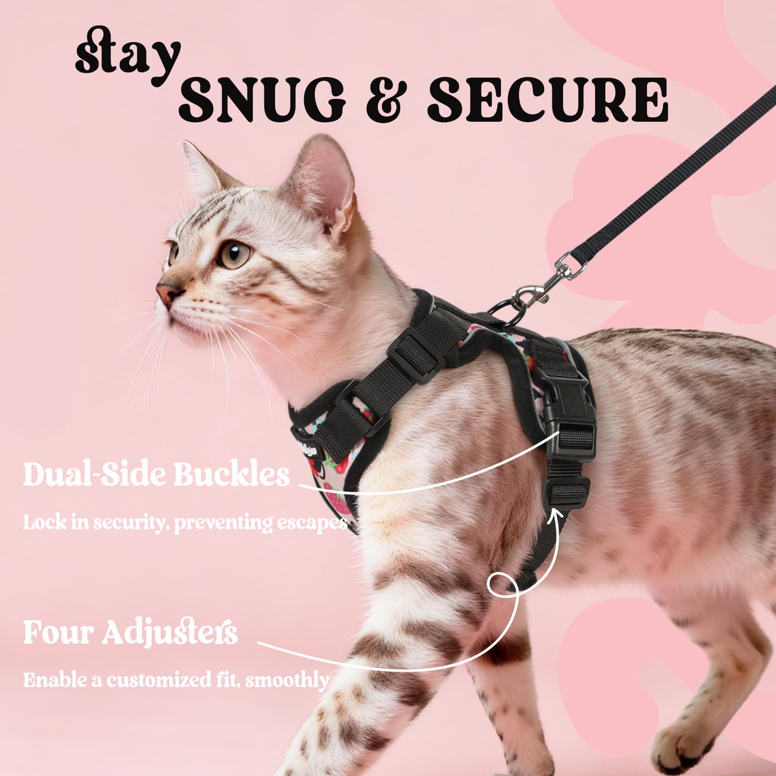 rabbitgoo harnais comparaison taille montrant ajustement pour petits chats
