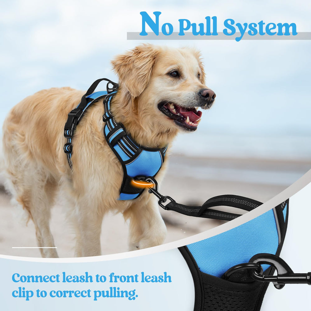 rabbitgoo chien en promenade illustrant usage quotidien et liberté