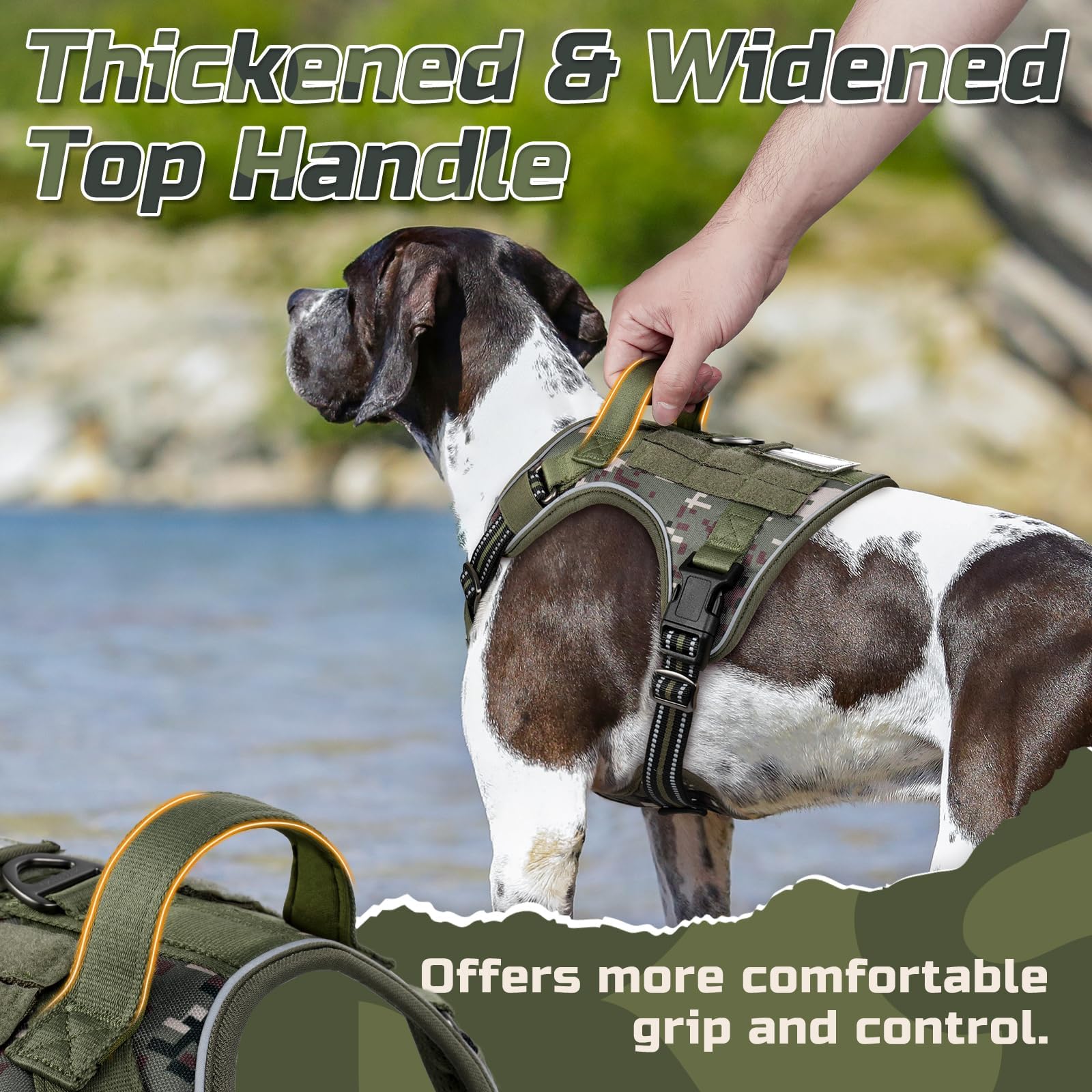 rabbitgoo harnais sur grand chien pour comparaison de taille