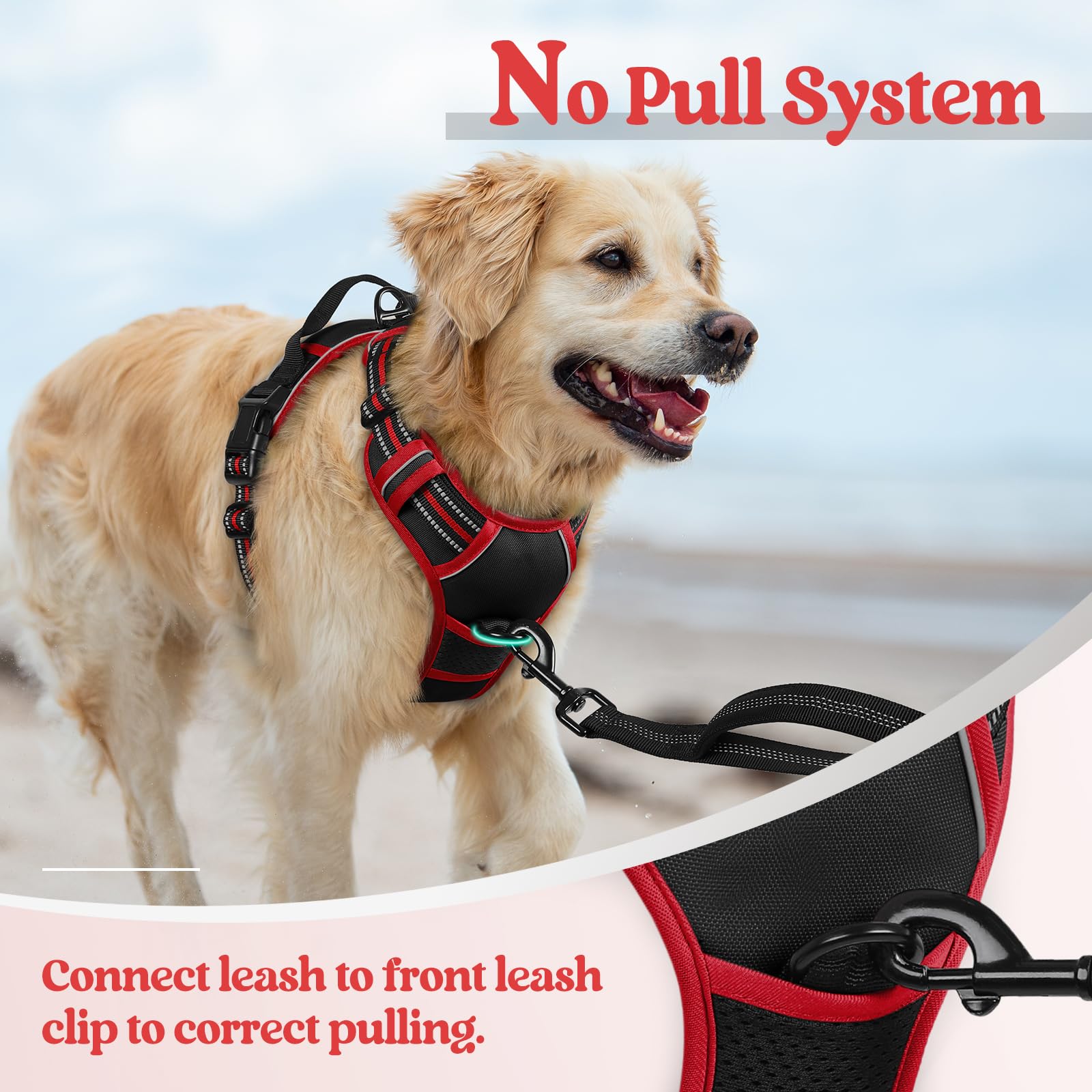 rabbitgoo chien portant harnais en extérieur pour activités confortables