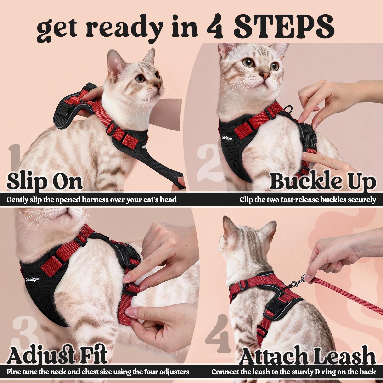 rabbitgoo comparaison taille montrant guide de mesures simple
