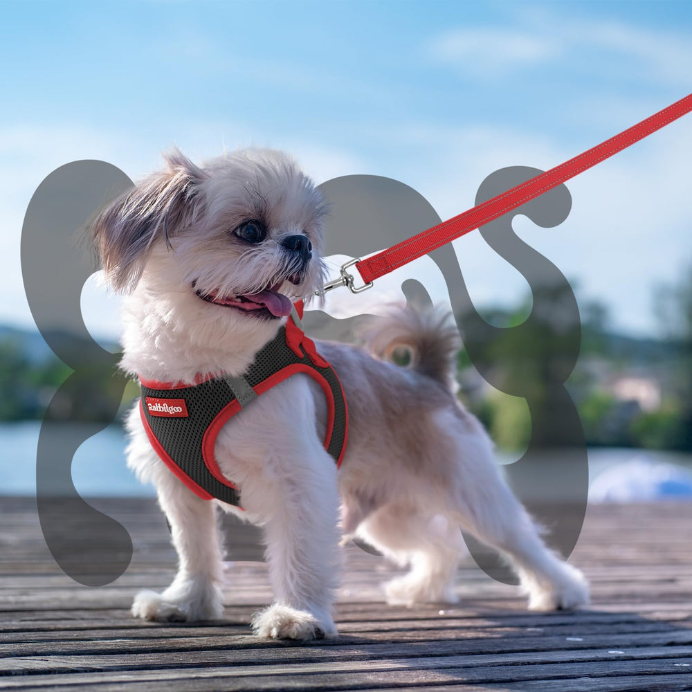 rabbitgoo détail bandes réfléchissantes pour visibilité améliorée
