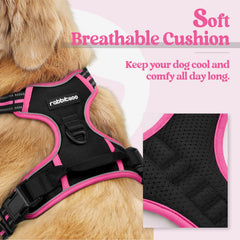 rabbitgoo harnais gros plan rembourrage confortable pour peau du chien
