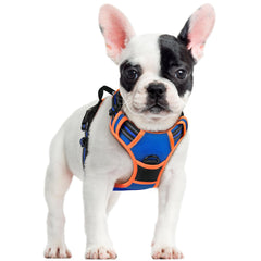 rabbitgoo harnais vue avant sur petit chien montrant protection et maintien