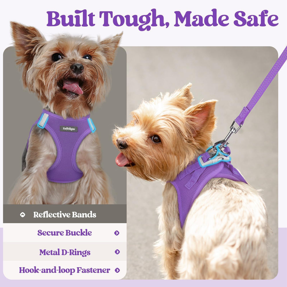 rabbitgoo comparaison taille montrant proportions adaptées pour petits chiens