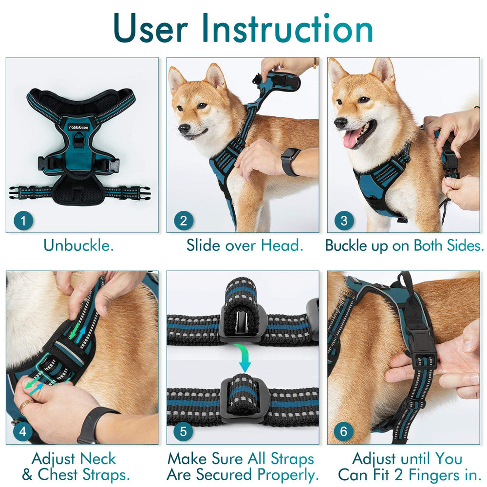 rabbitgoo comparaison tailles montrant guide pour mesurer votre chien