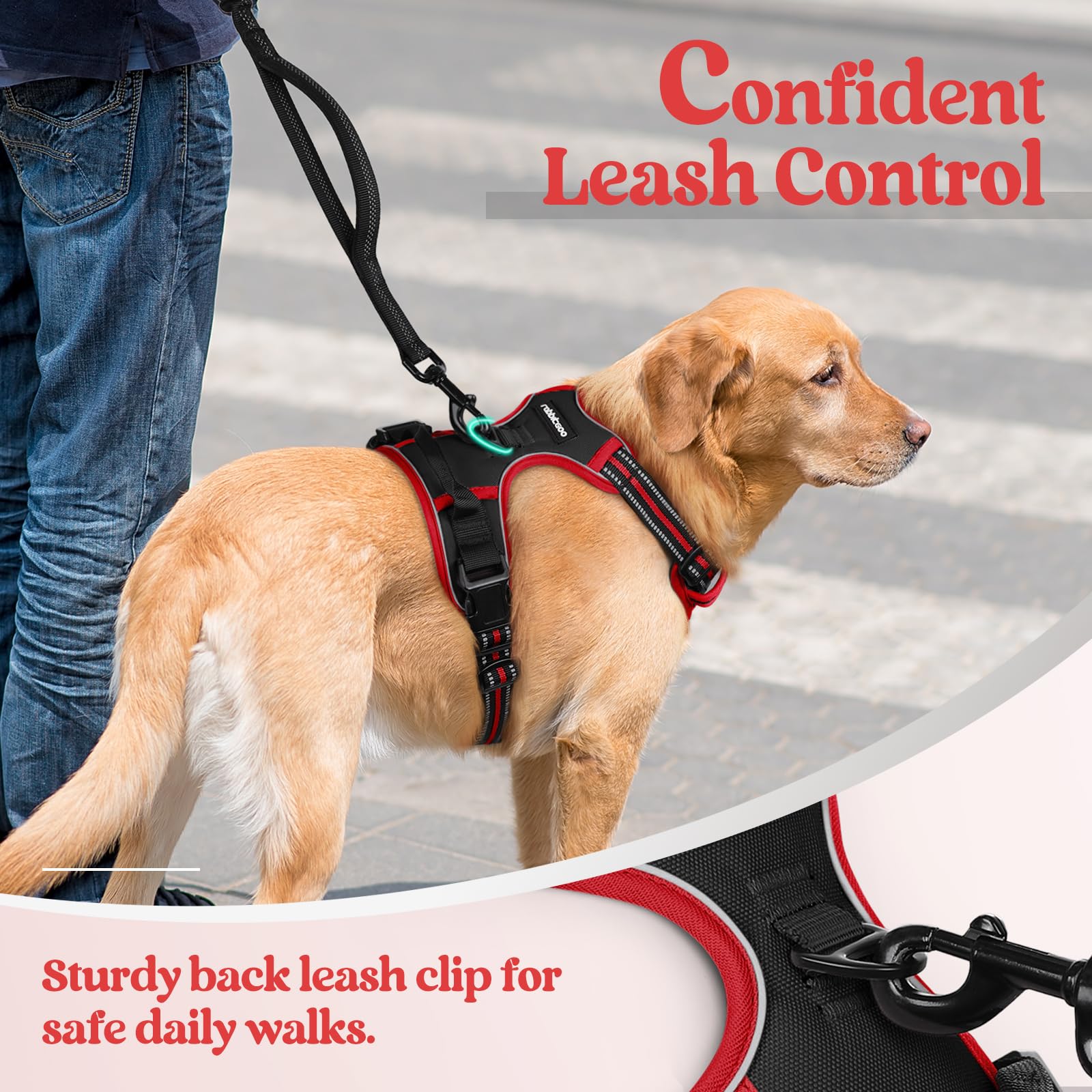 rabbitgoo comparatif tailles illustrant ajustements pour grands chiens