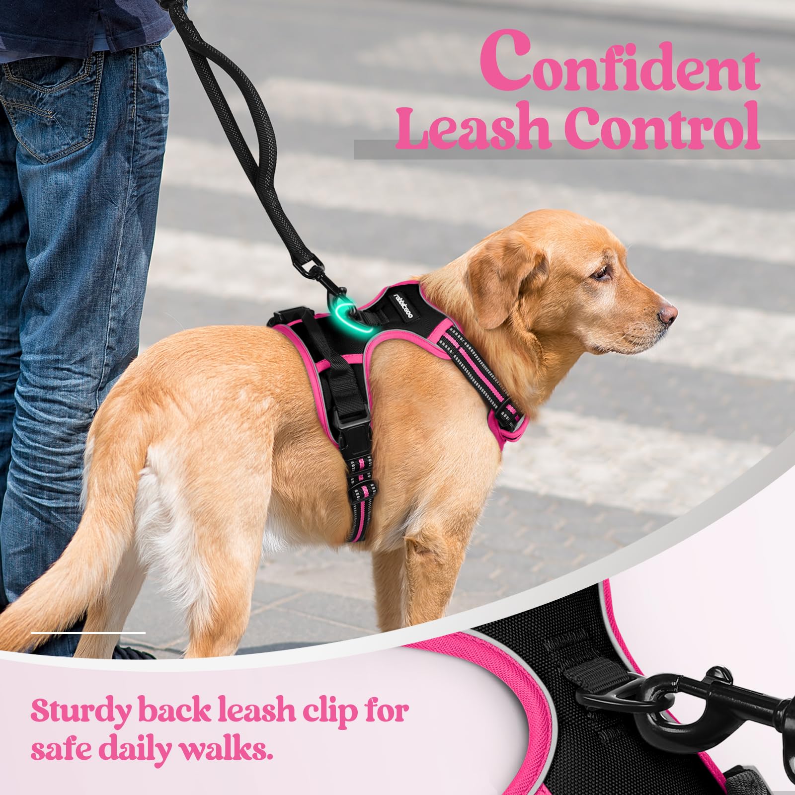 rabbitgoo harnais comparaison taille montre ajustement pour petit chien