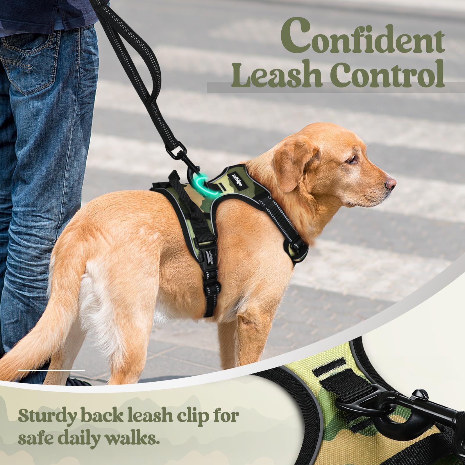 rabbitgoo harnais en usage avec labrador pour promenade plus contrôlée