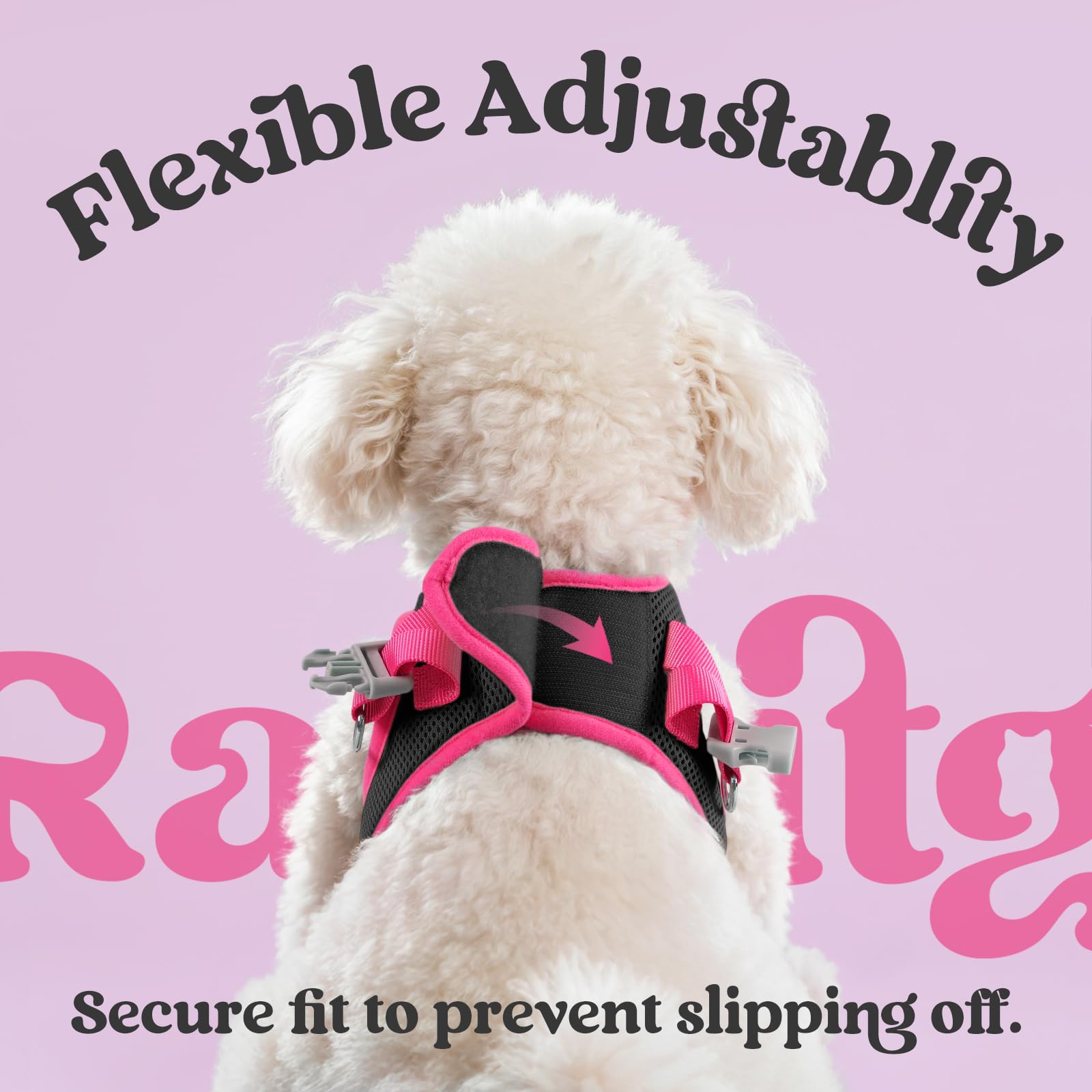 rabbitgoo démonstration step-in enfilage facile et rapide