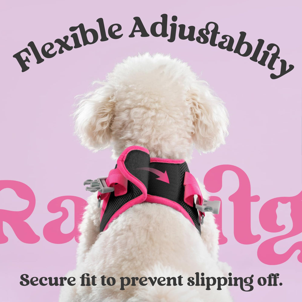 rabbitgoo démonstration step-in enfilage facile et rapide