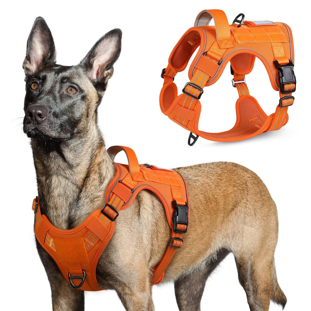 rabbitgoo harnais face avant montrant clip anti-traction et confort