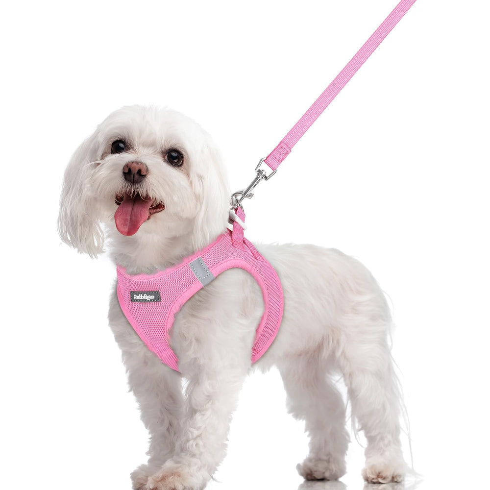 rabbitgoo harnais face avant montrant maintien confortable pour promenades