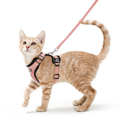 rabbitgoo harnais gilet vue de face montrant la coupe enveloppante et le confort