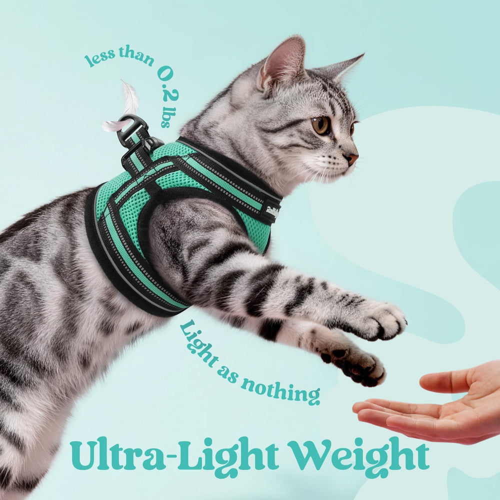 rabbitgoo laisse nettoyée et pliée montrant entretien simple