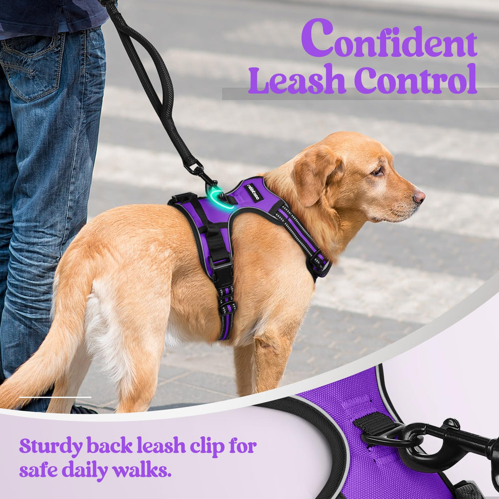 rabbitgoo harnais tissu mesh respirant pour garder le chien au frais