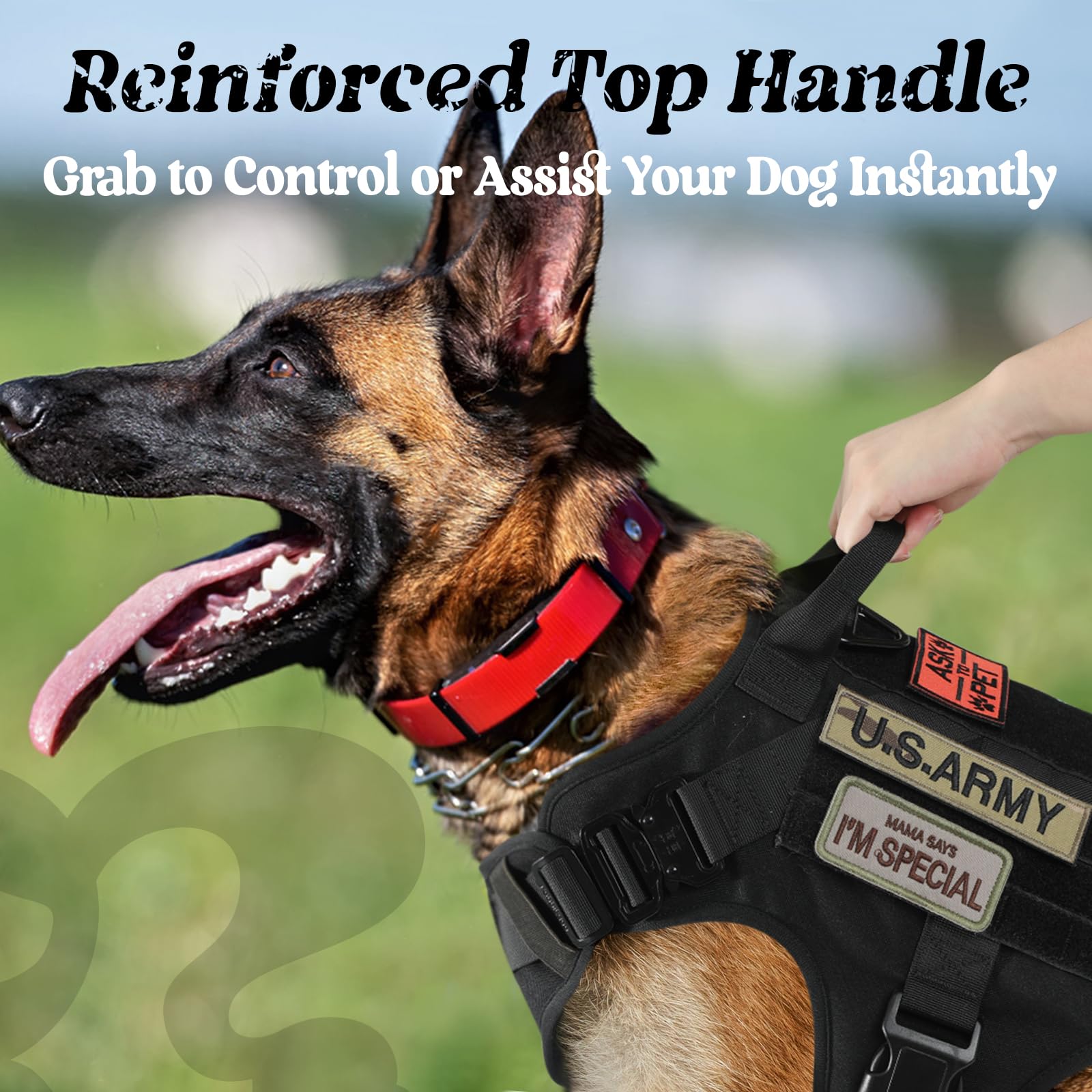 rabbitgoo harnais détail système Molle pour attacher équipements