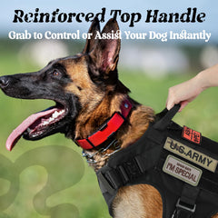 rabbitgoo harnais détail système Molle pour attacher équipements