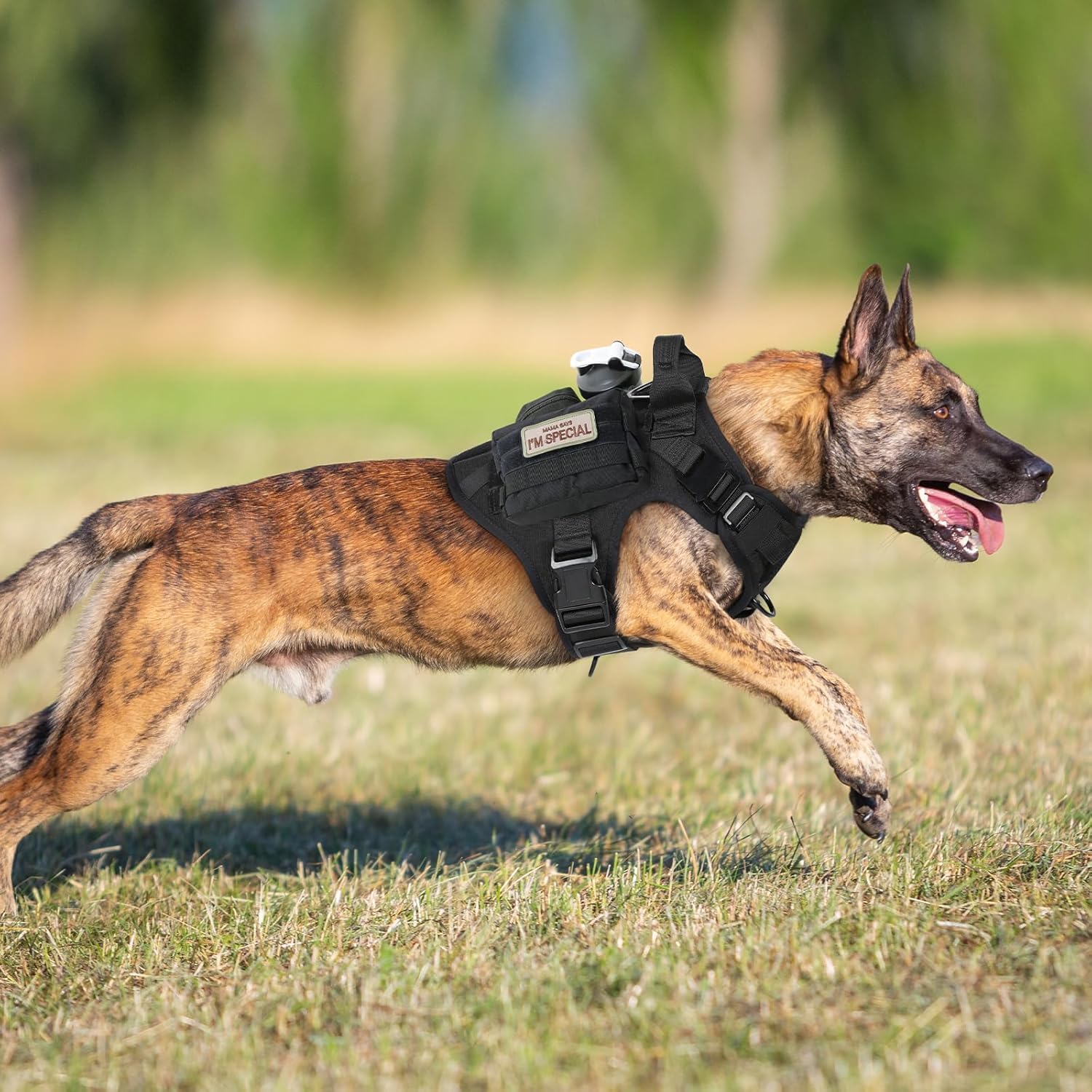 rabbitgoo harnais panneaux Velcro pour badges et identifications visibles