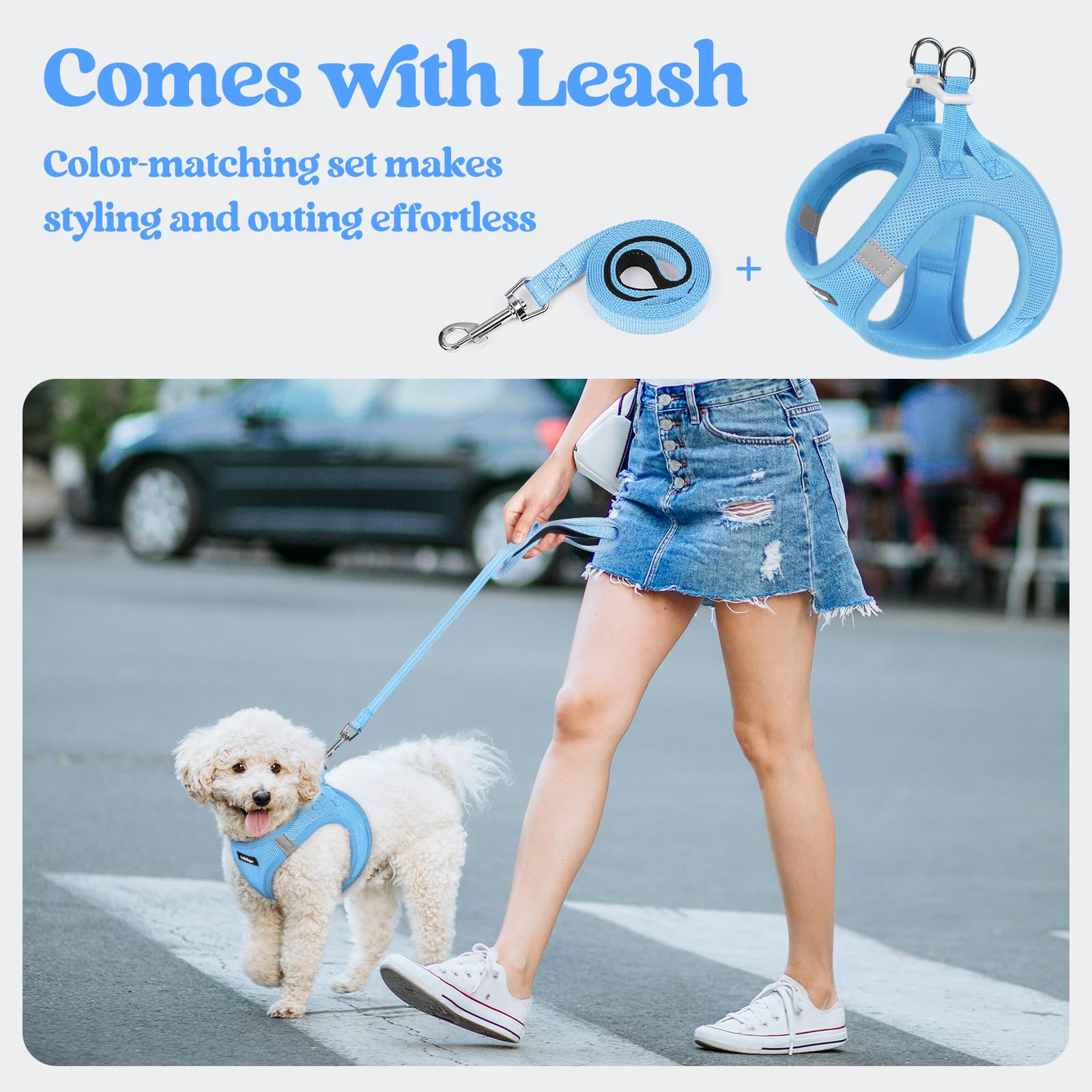 rabbitgoo harnais porté sur chien pour montrer coupe ergonomique et liberté