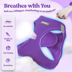rabbitgoo harnais porté sur chien pour promenades stables et confortables