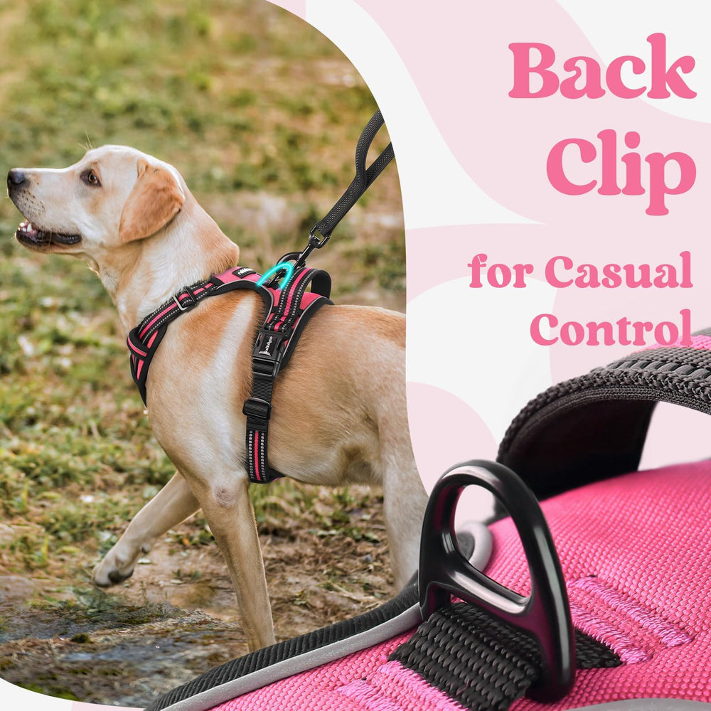 rabbitgoo harnais tissu mesh gros plan respirant pour fraîcheur
