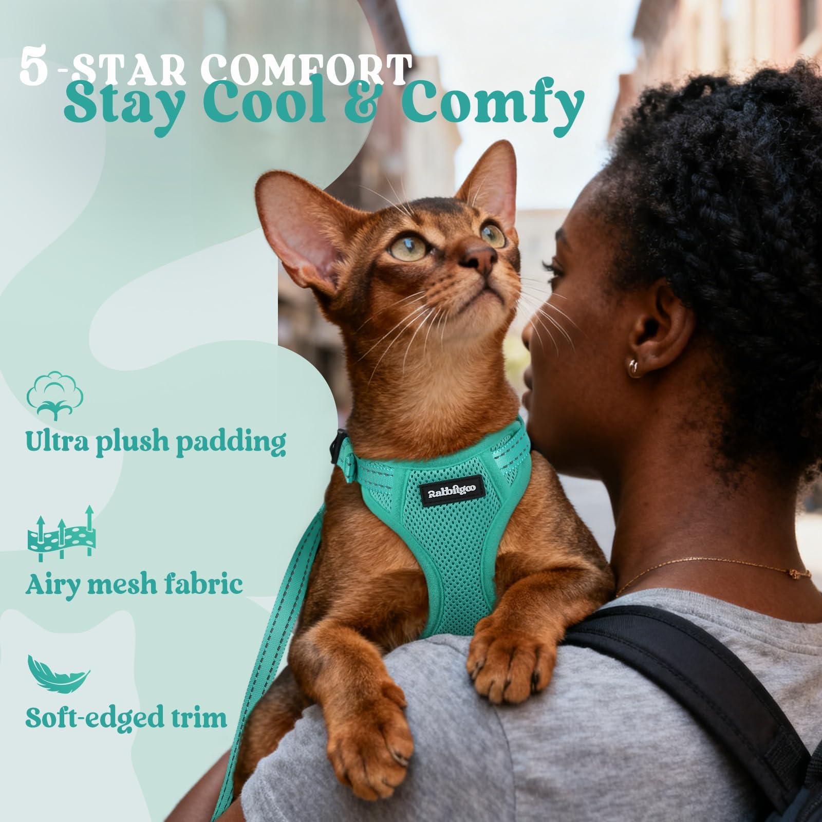 rabbitgoo harnais et laisse incluses prêts pour les promenades quotidiennes