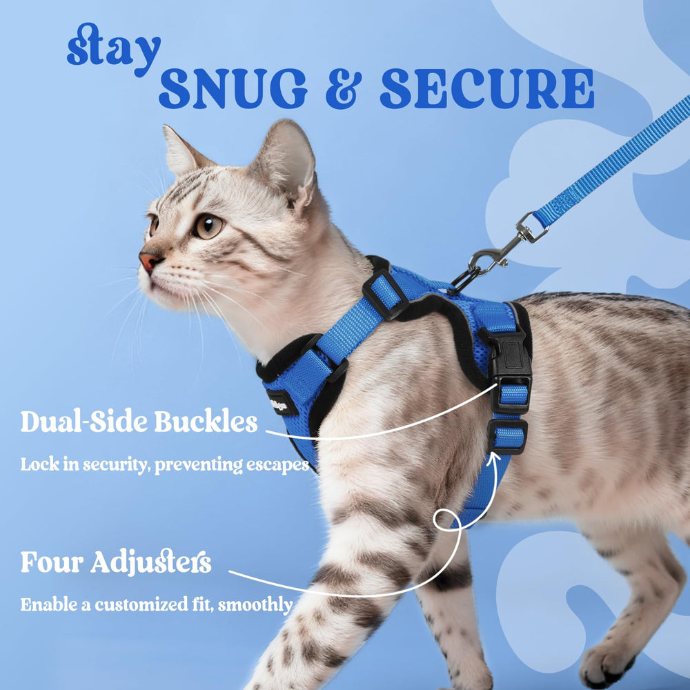 rabbitgoo laisse 1,5 m attachée offrant contrôle fiable