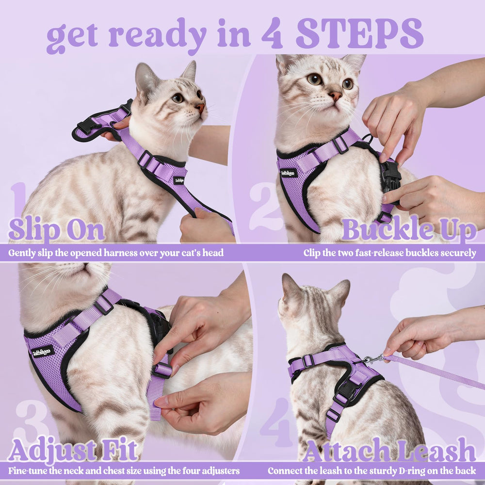 rabbitgoo comparaison tailles sur chat, guide pour mesurer