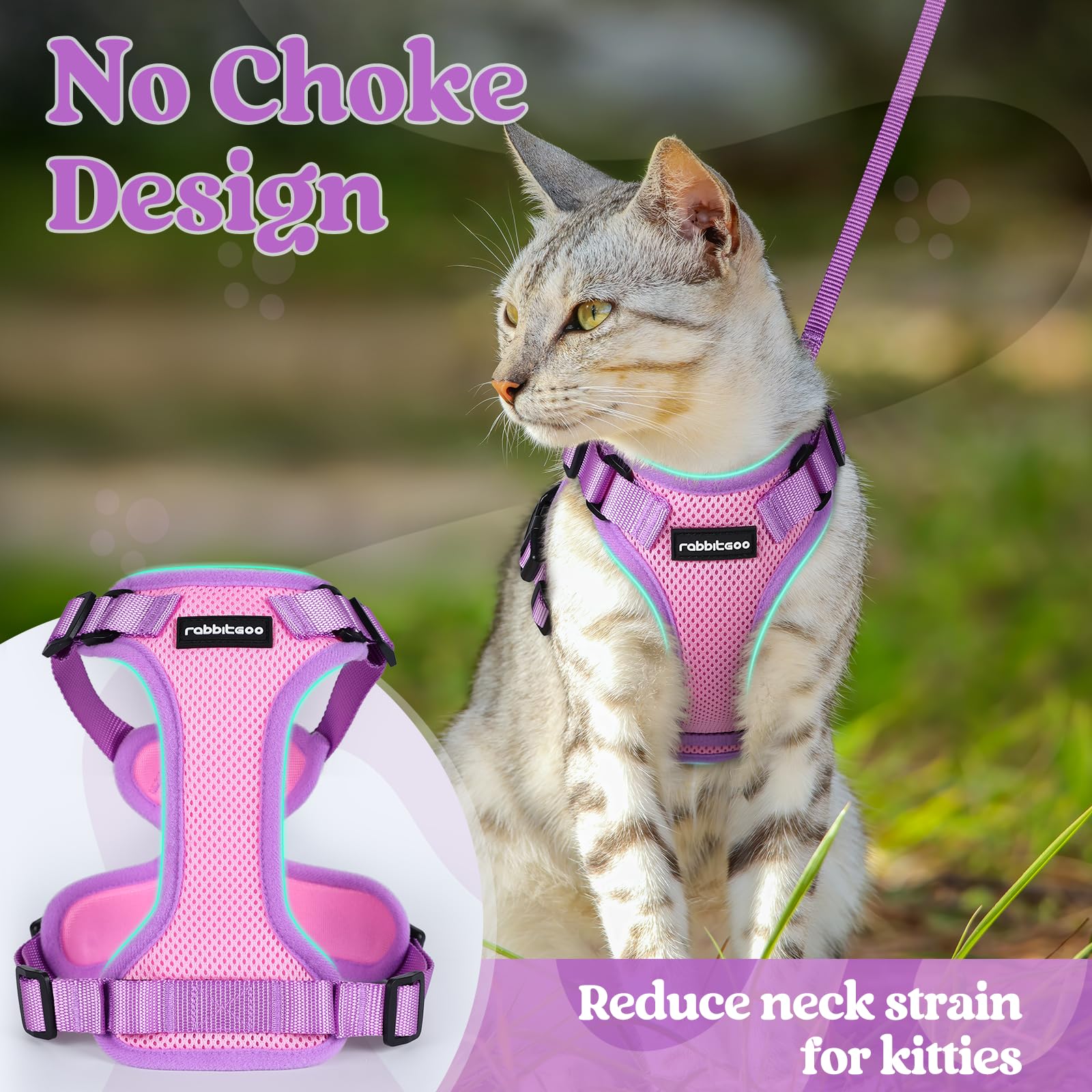 rabbitgoo harnais comparaison tailles pour choix adapté du chat