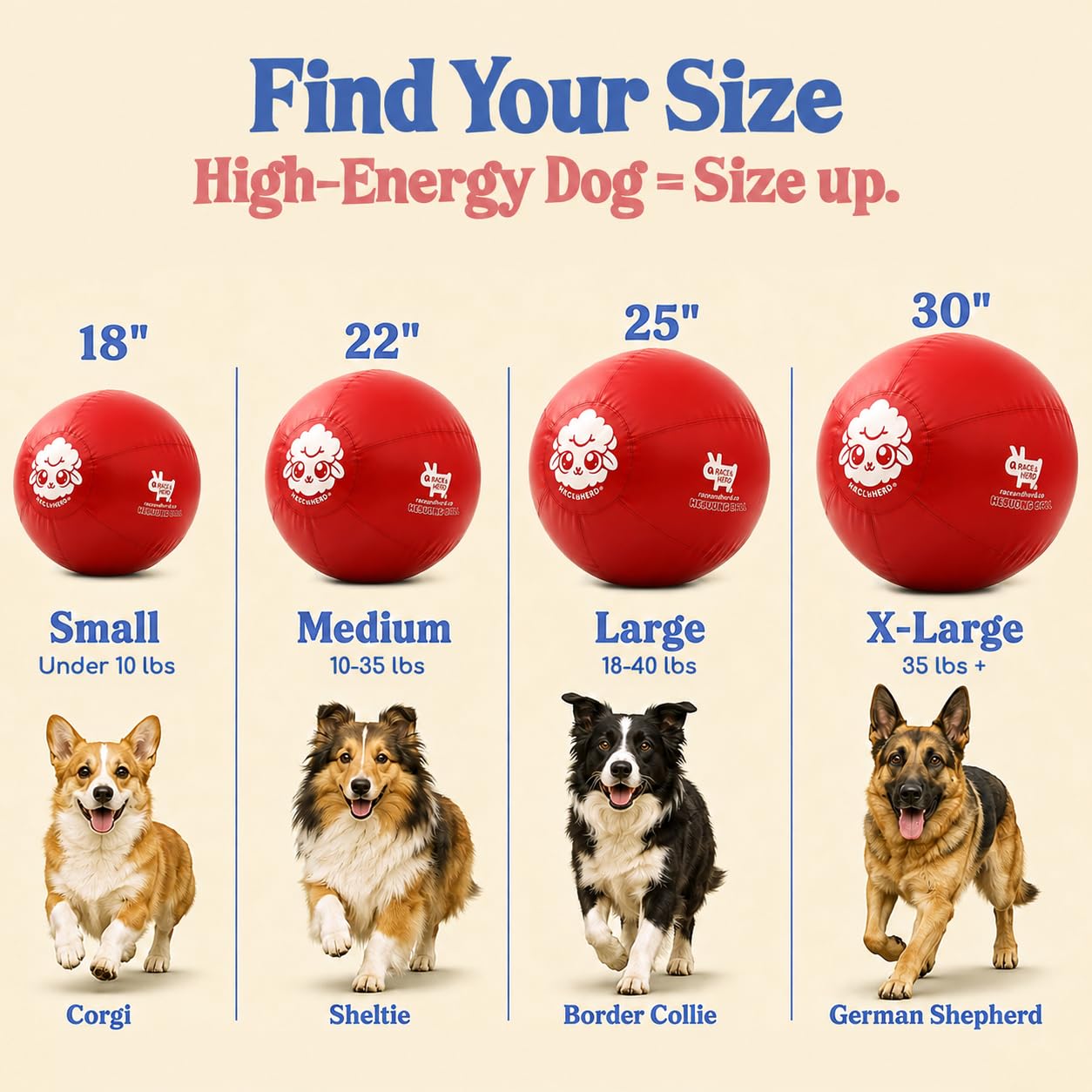 Race&Herd chien poussant la balle pour canaliser énergie et instincts