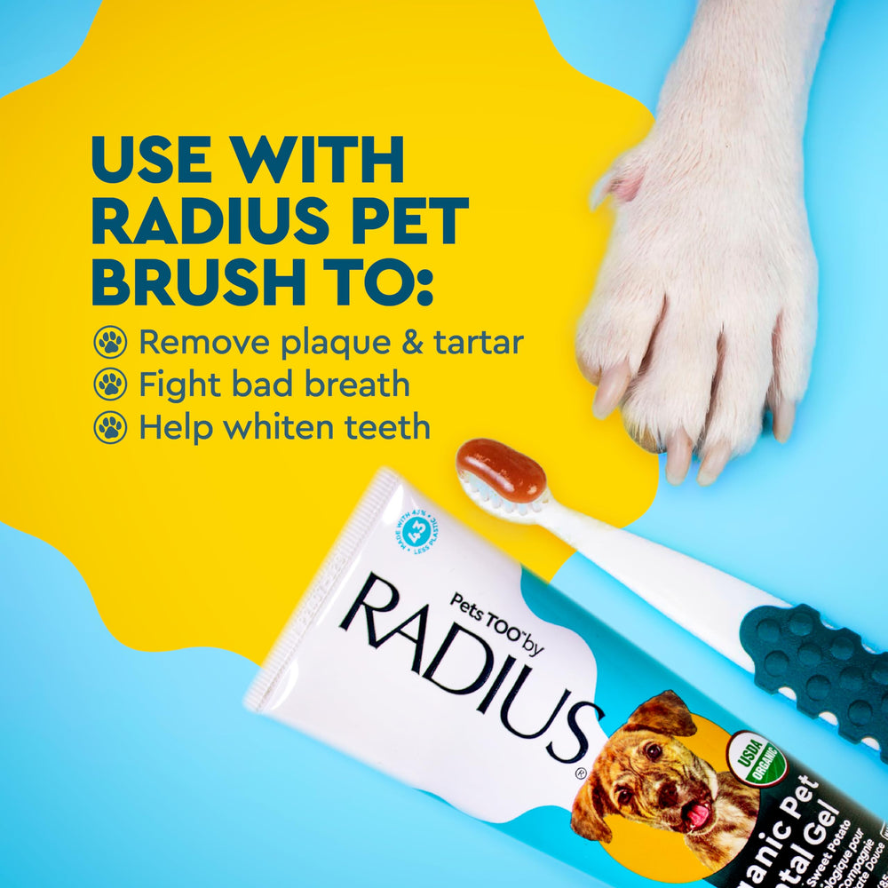 RADIUS boîtier de rangement recyclé protégeant brosse de manière hygiénique