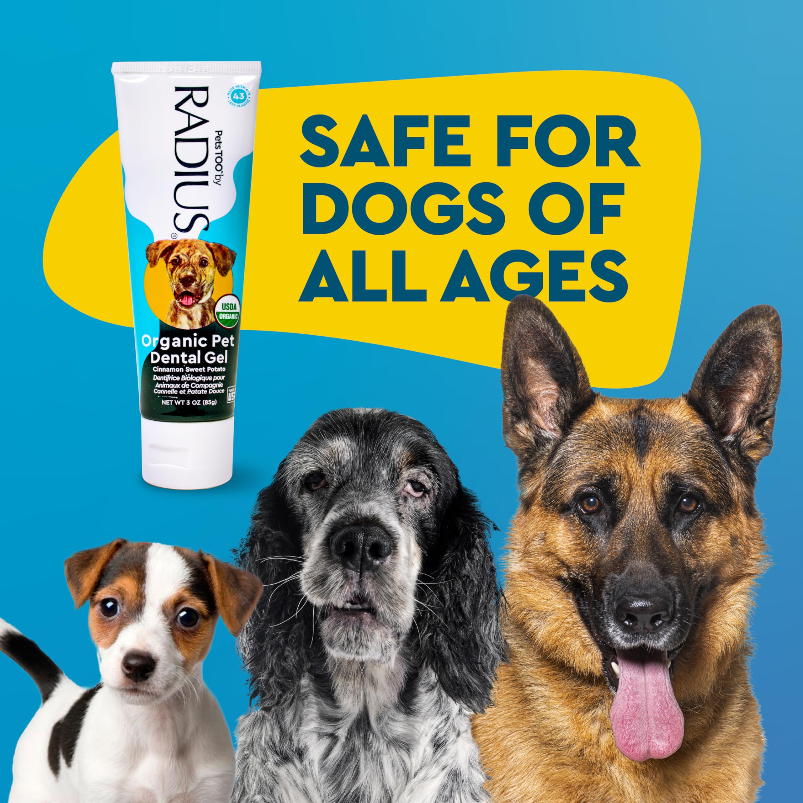 RADIUS moment de brossage avec chien montrant acceptation et confort