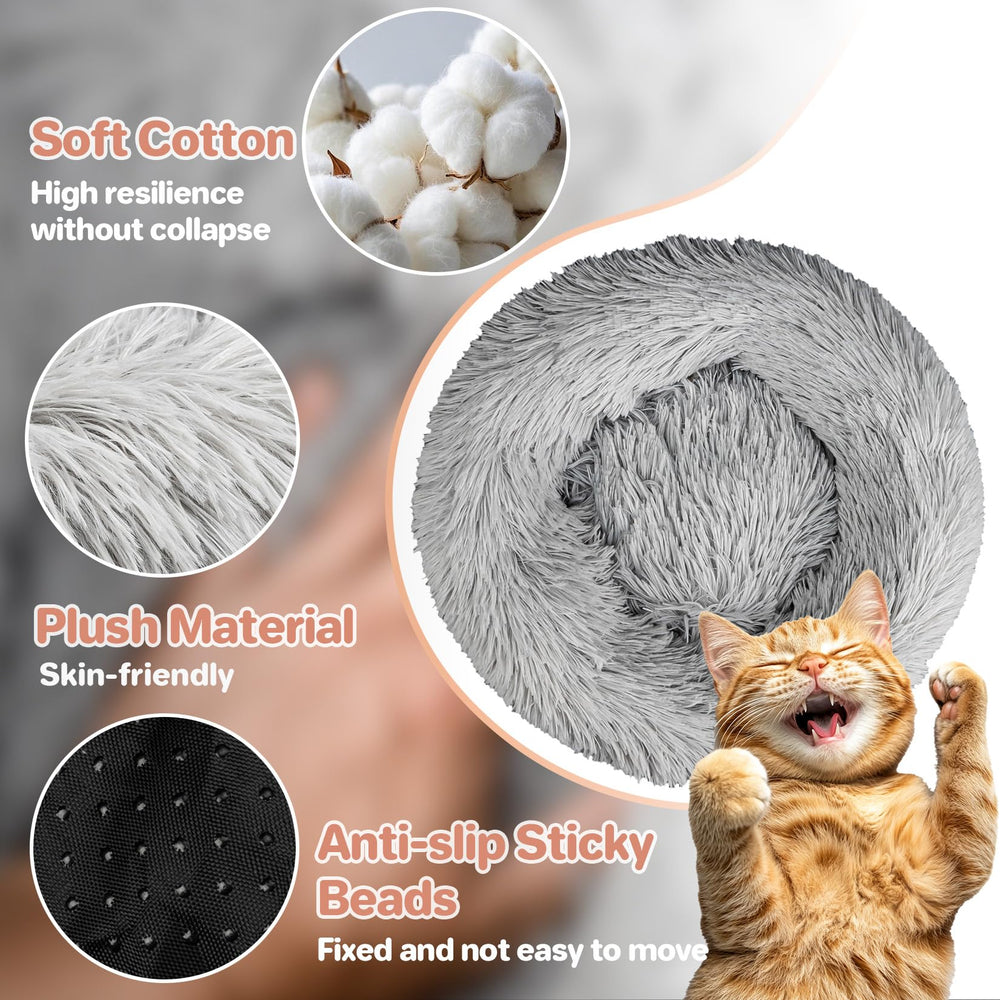 RAINFLOW chat dort dans le lit montrant apaisement et chaleur