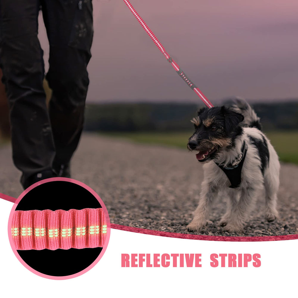 Raipult comparaison taille avec chien illustrant longueur 4–6 ft pour repères