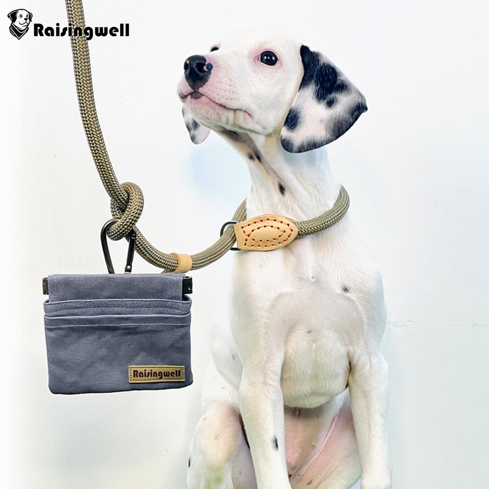 Raisingwell comparaison de taille indiquant compacité et port en poche