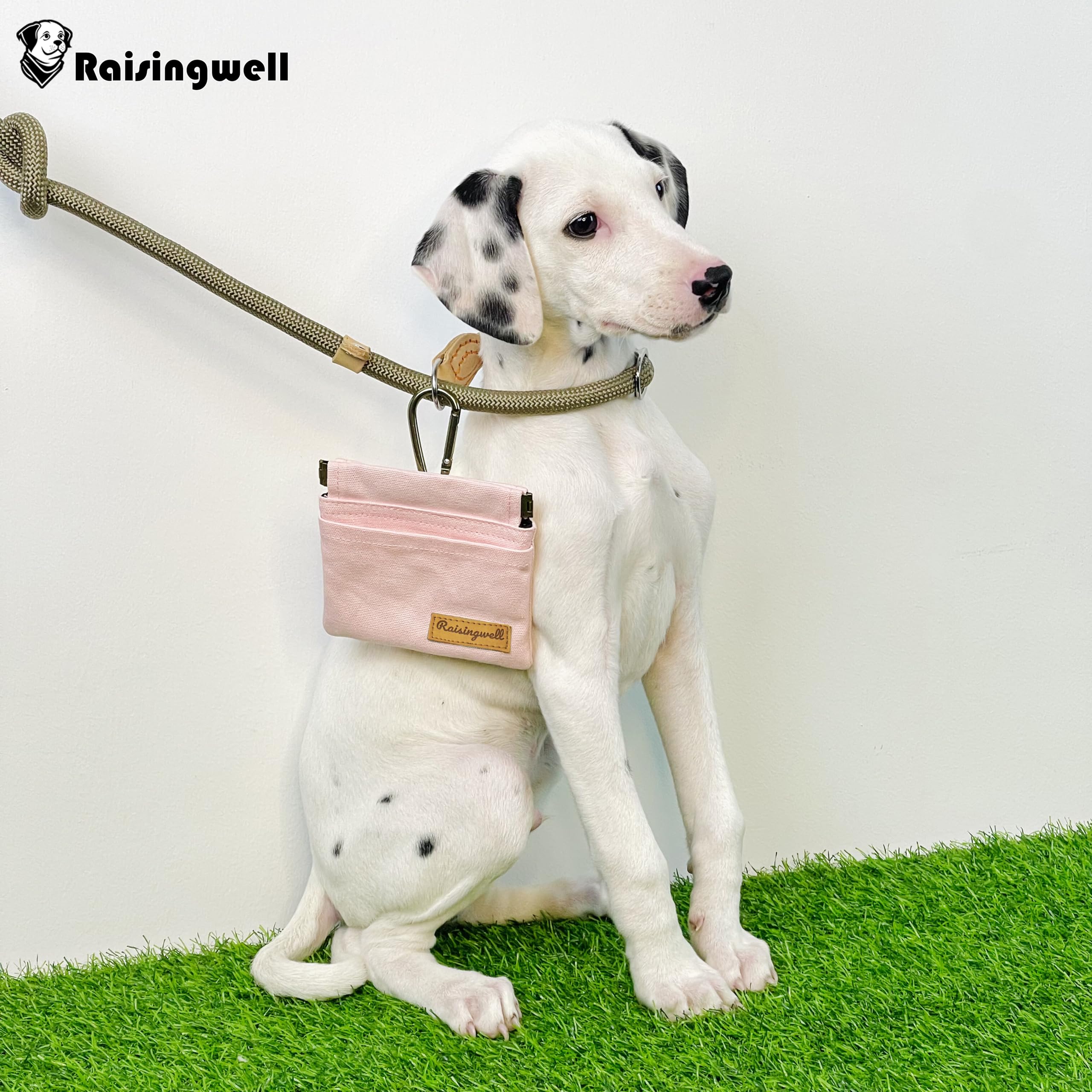 raisingwell pochette comparaison taille montre compacité et transport