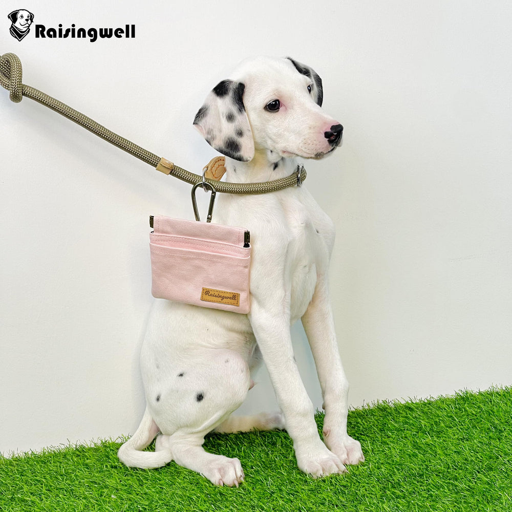 raisingwell pochette comparaison taille montre compacité et transport