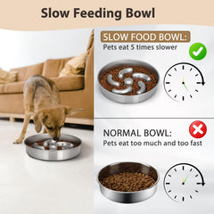 Ralory gamelle en usage par un chien pour un repas plus lent