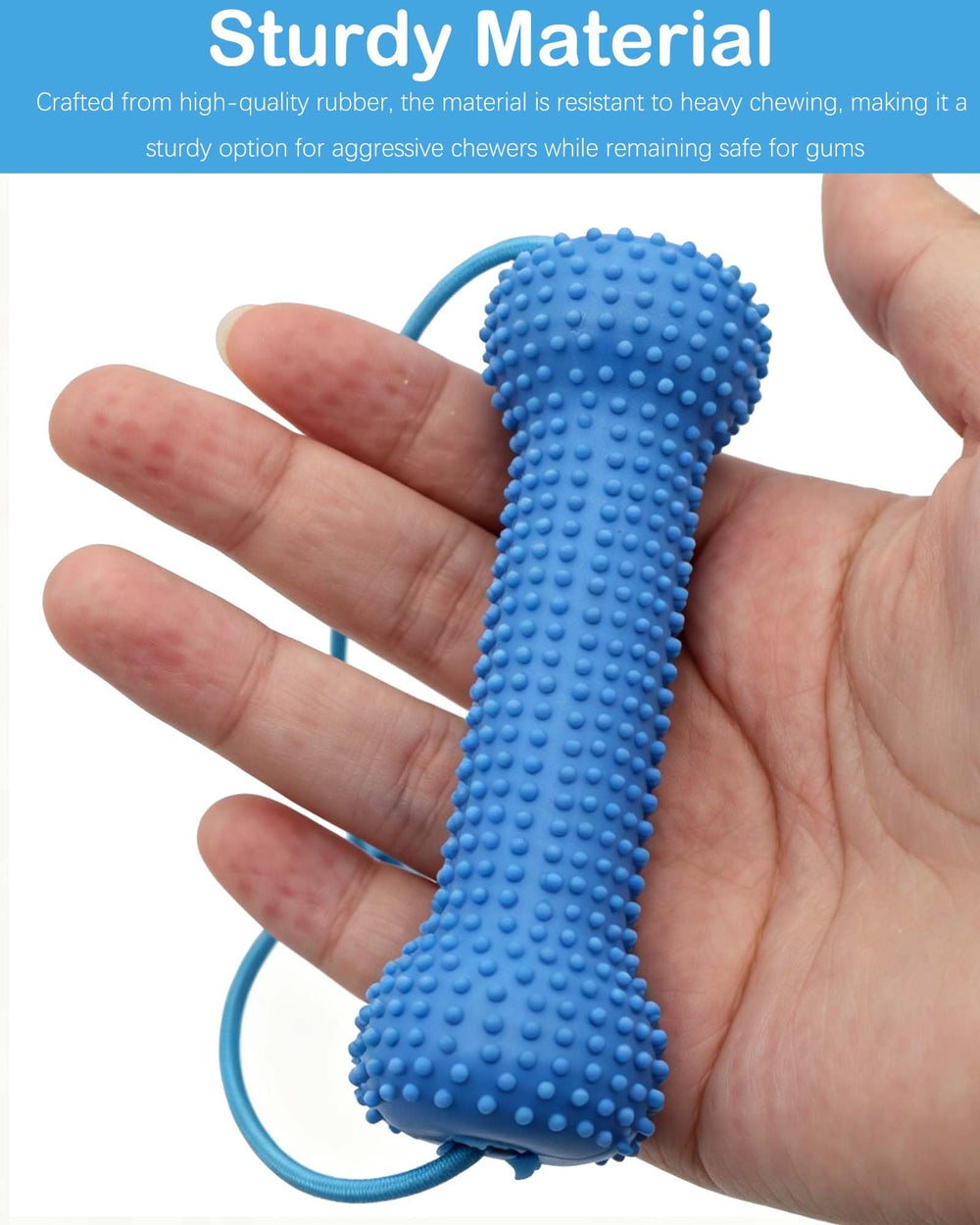 Raosuzu chiot mâchant le jouet pour stimulation et hygiène buccale