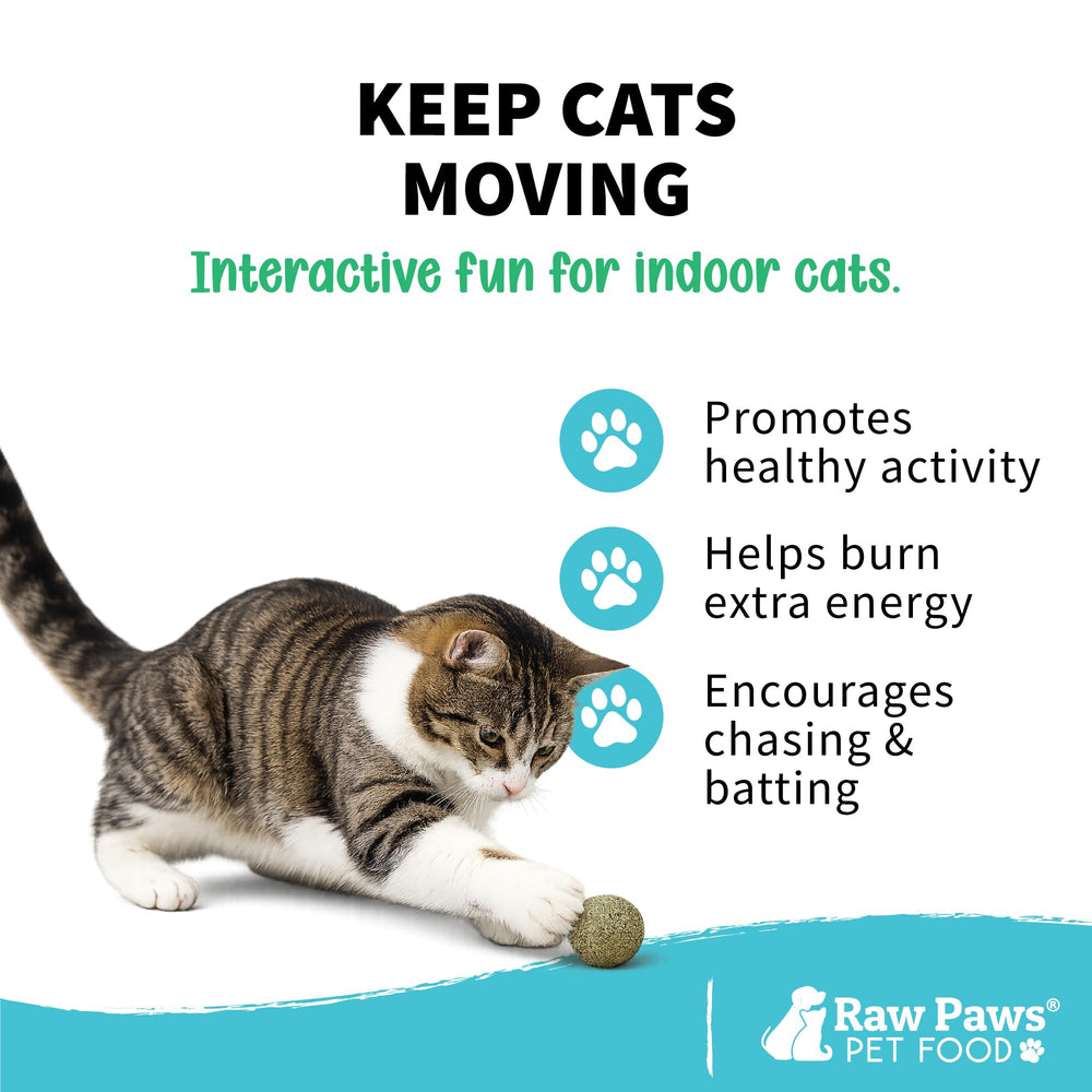 Raw Paws chat joue avec une boule montrant stimulation et augmentation de l'activité