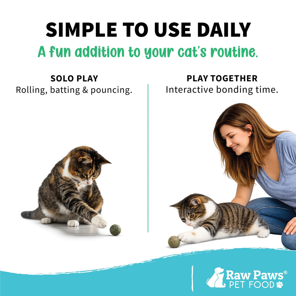 Raw Paws étiquette détail montrant l'absence d'additifs et l'information produit claire